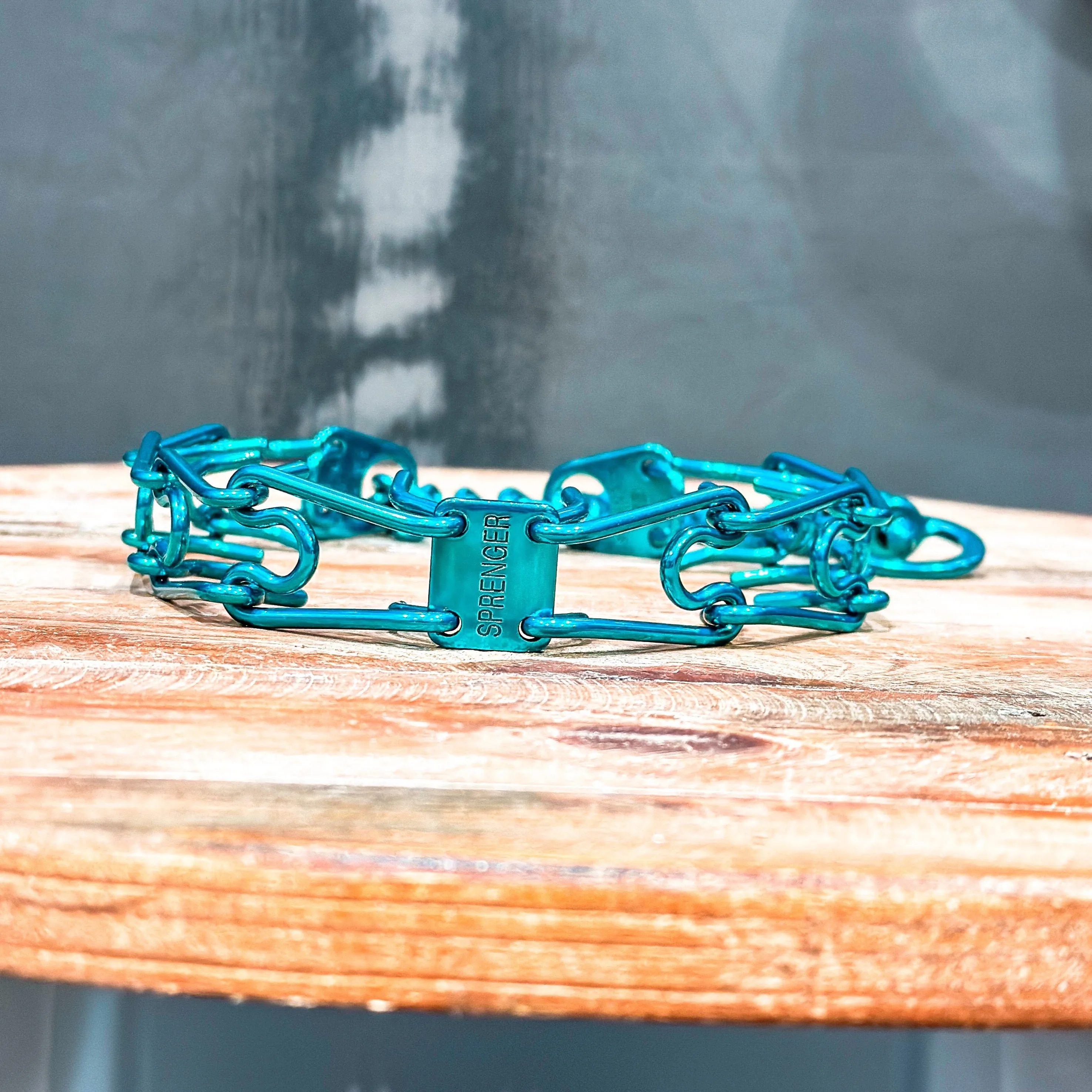 Cortez Teal Custom Powder Coated Herm Sprenger Prong Collar for Dogs