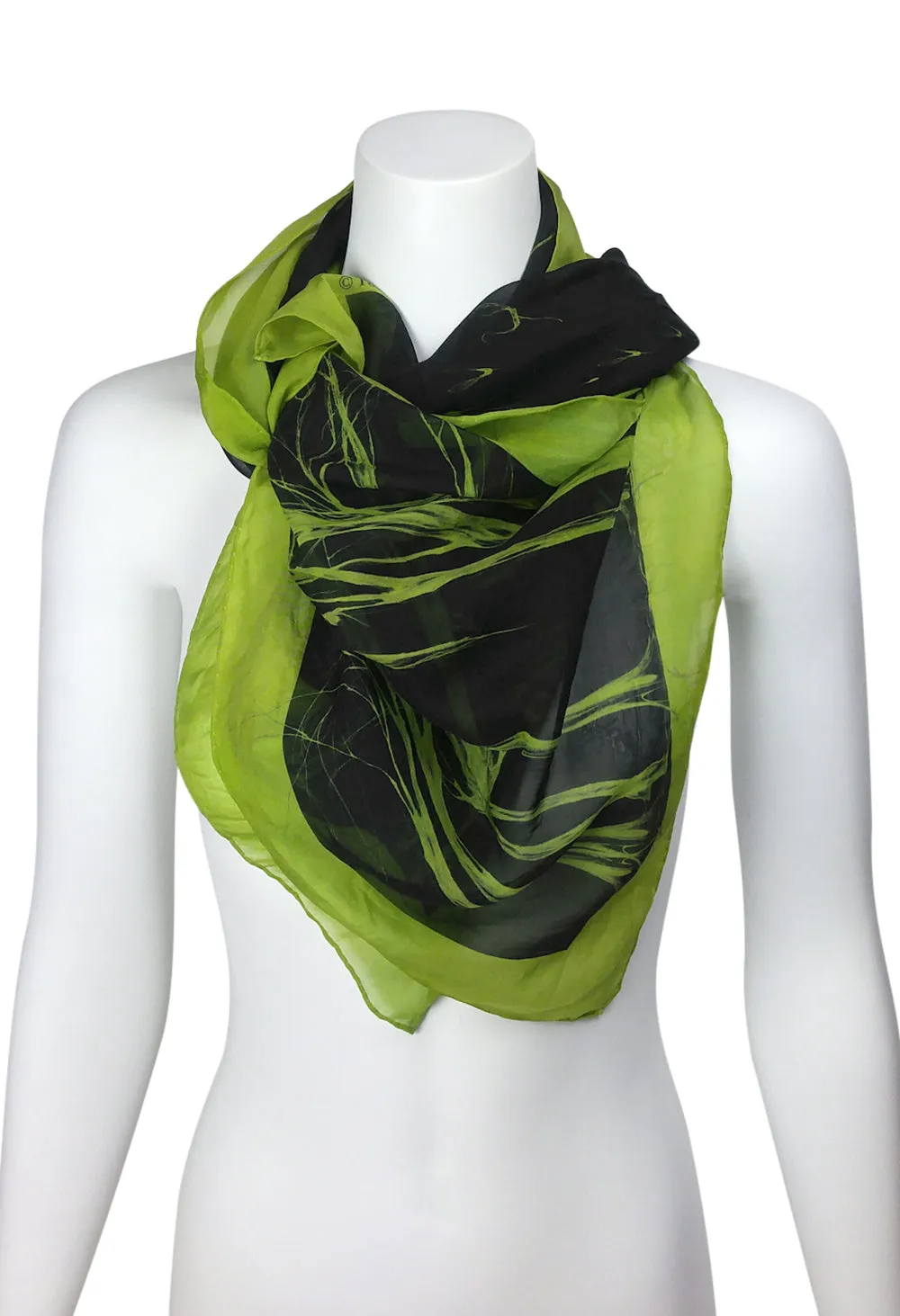 Égérie MUSE Forest Border Silk Scarf Light on Black, more colours