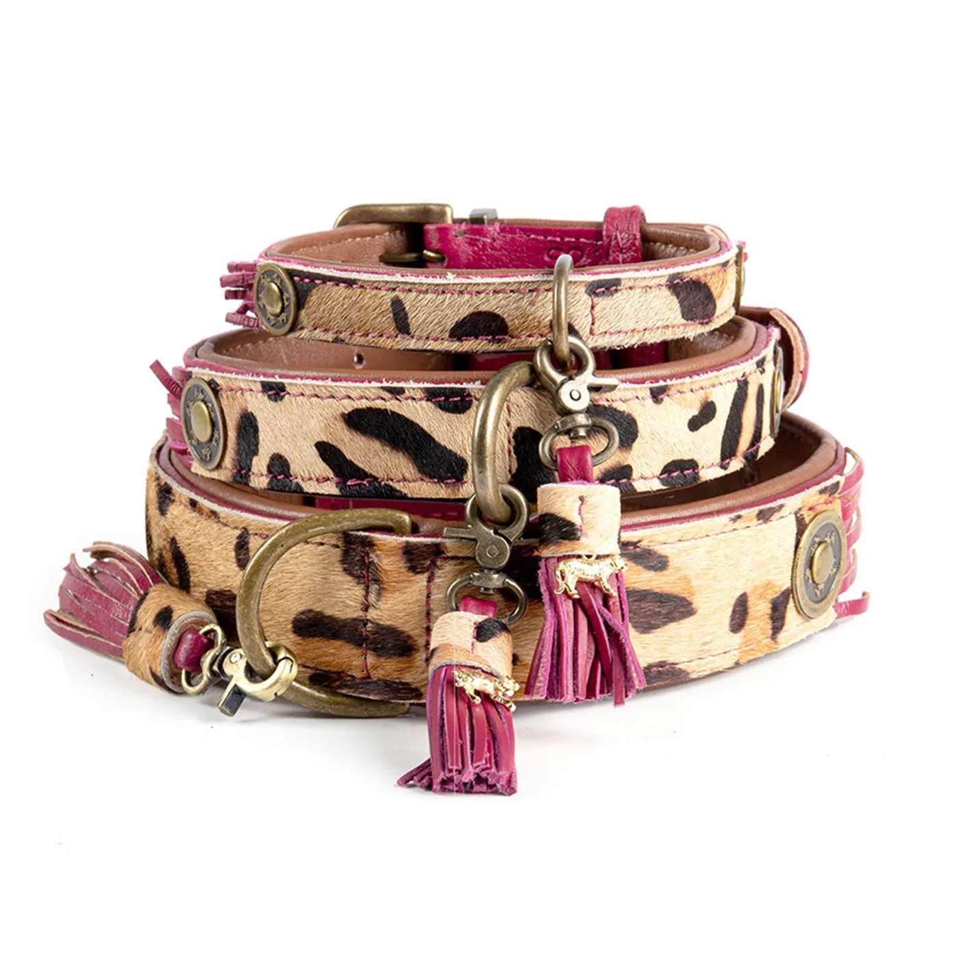 Lou Lou Dog Collar by DWAM