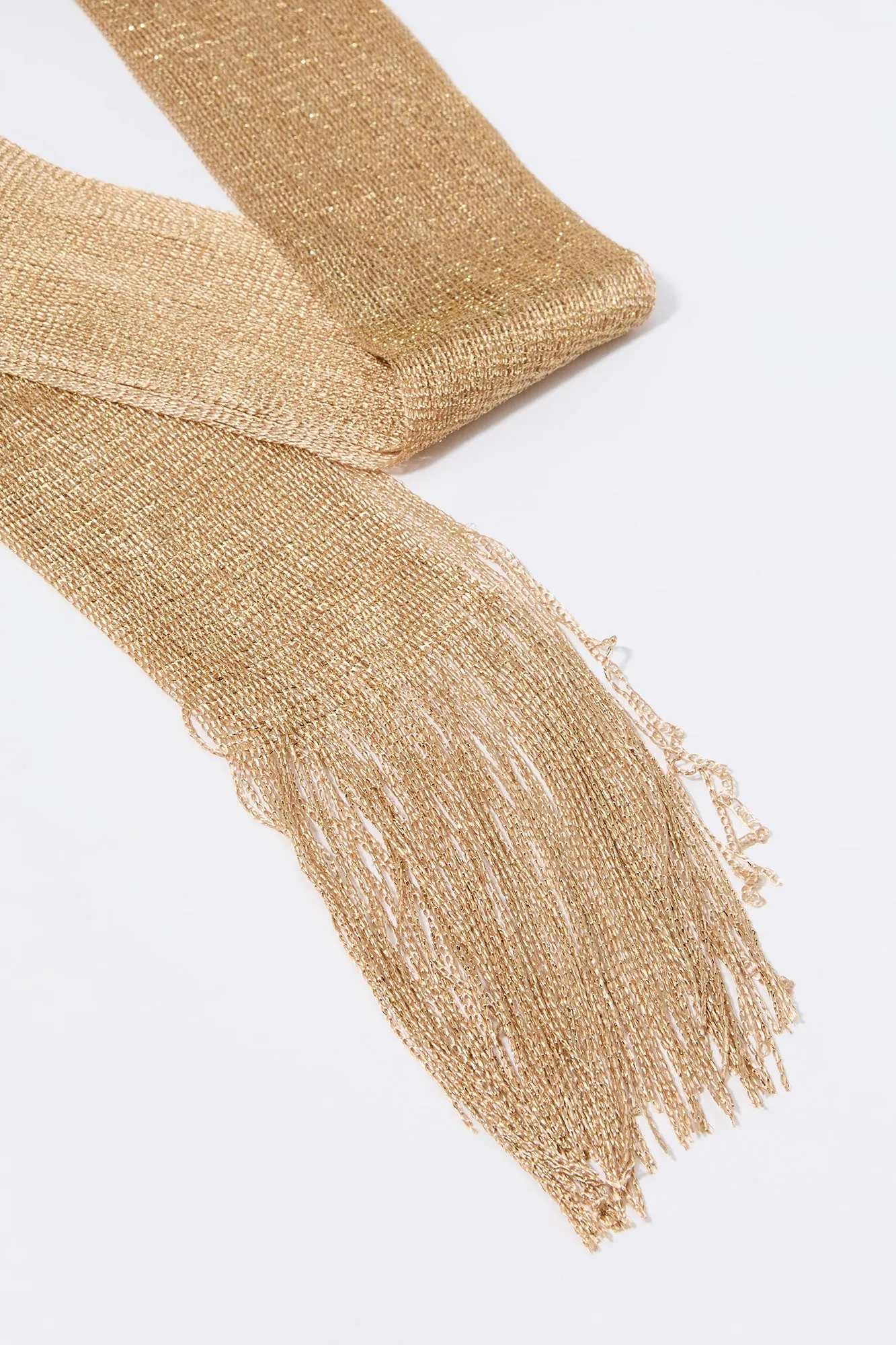 Metallic Fringe Scarf