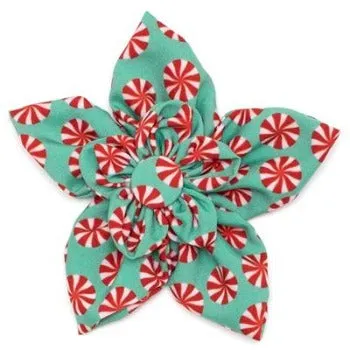 Peppermints Collar Flower