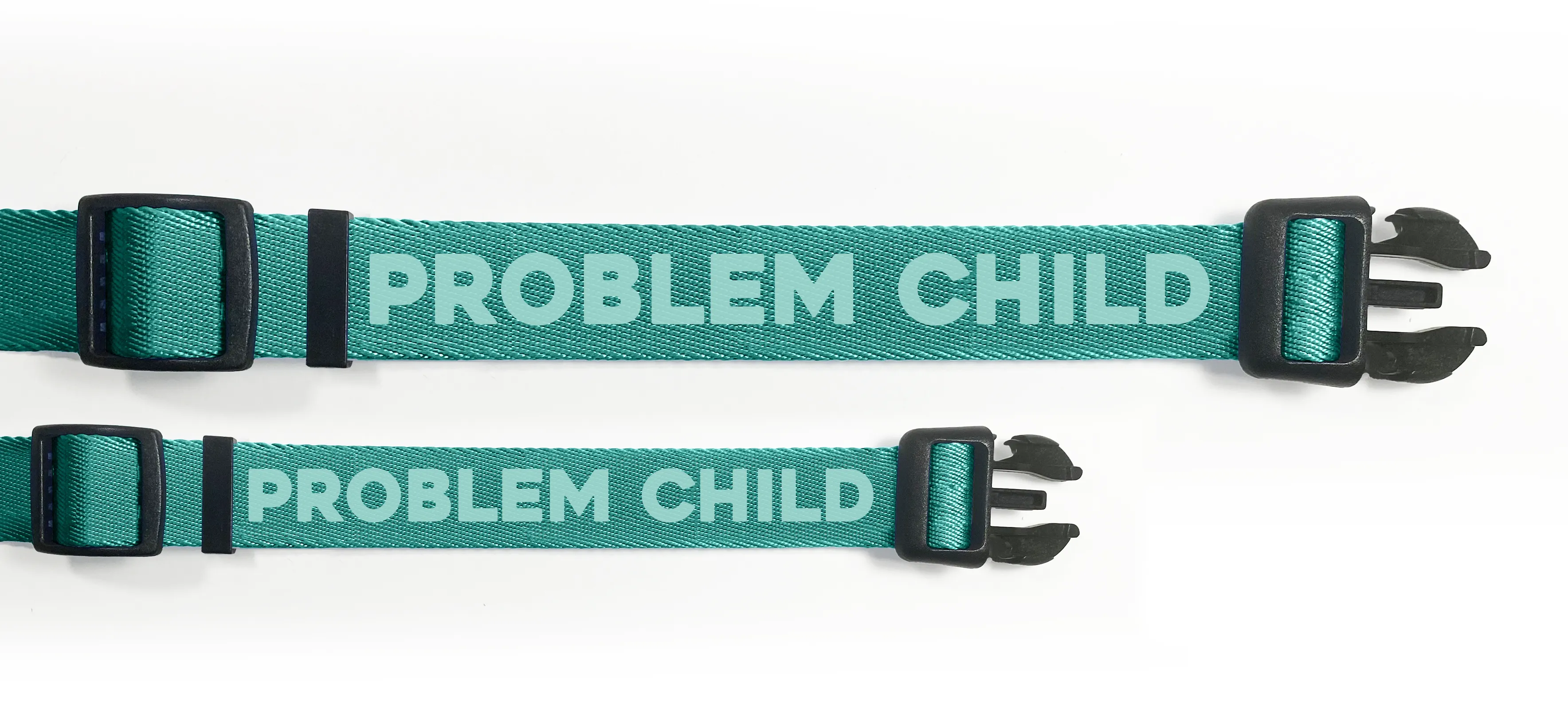 Problem Child (Teal) Dog Collar