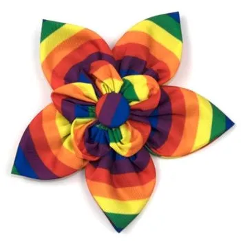 Rainbow Collar Flower