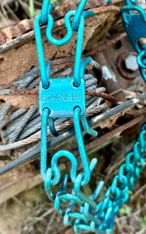 Siren's Song Iridescent (Mermaid Candy) Custom Powder Coated Herm Sprenger Prong Collar for Dogs