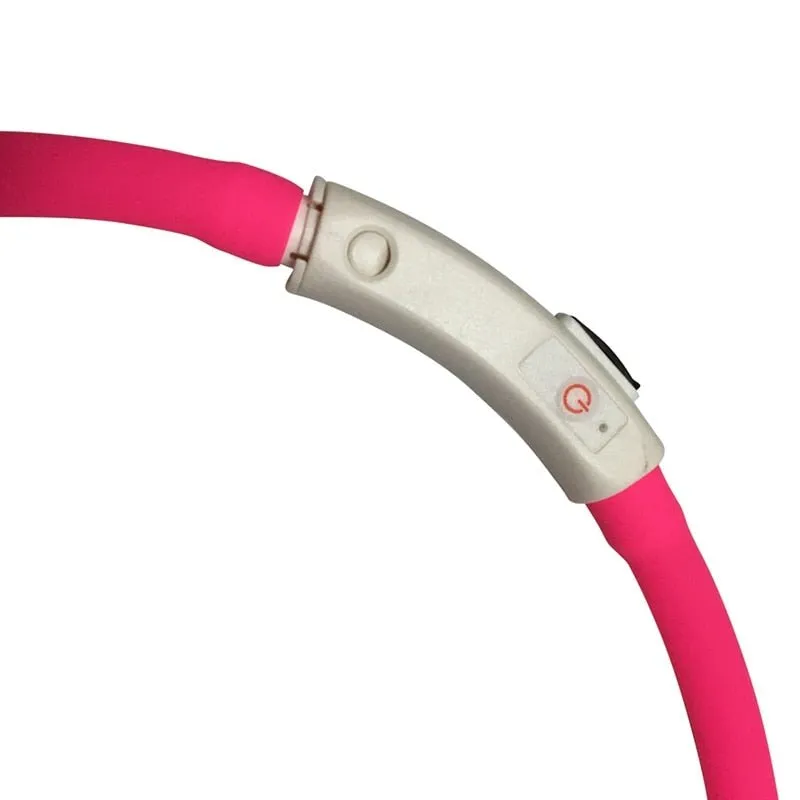 USB Rechargeable LED Dog Collar - Bright & Safe Night Walks!