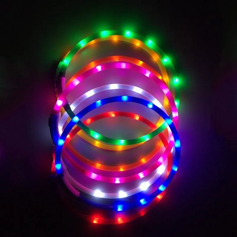 USB Rechargeable LED Dog Collar - Bright & Safe Night Walks!