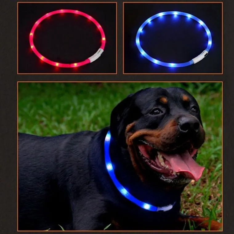 USB Rechargeable LED Dog Collar - Bright & Safe Night Walks!